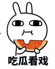 沙雕动画吃瓜系统娱乐圈